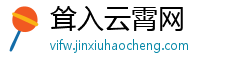 耸入云霄网